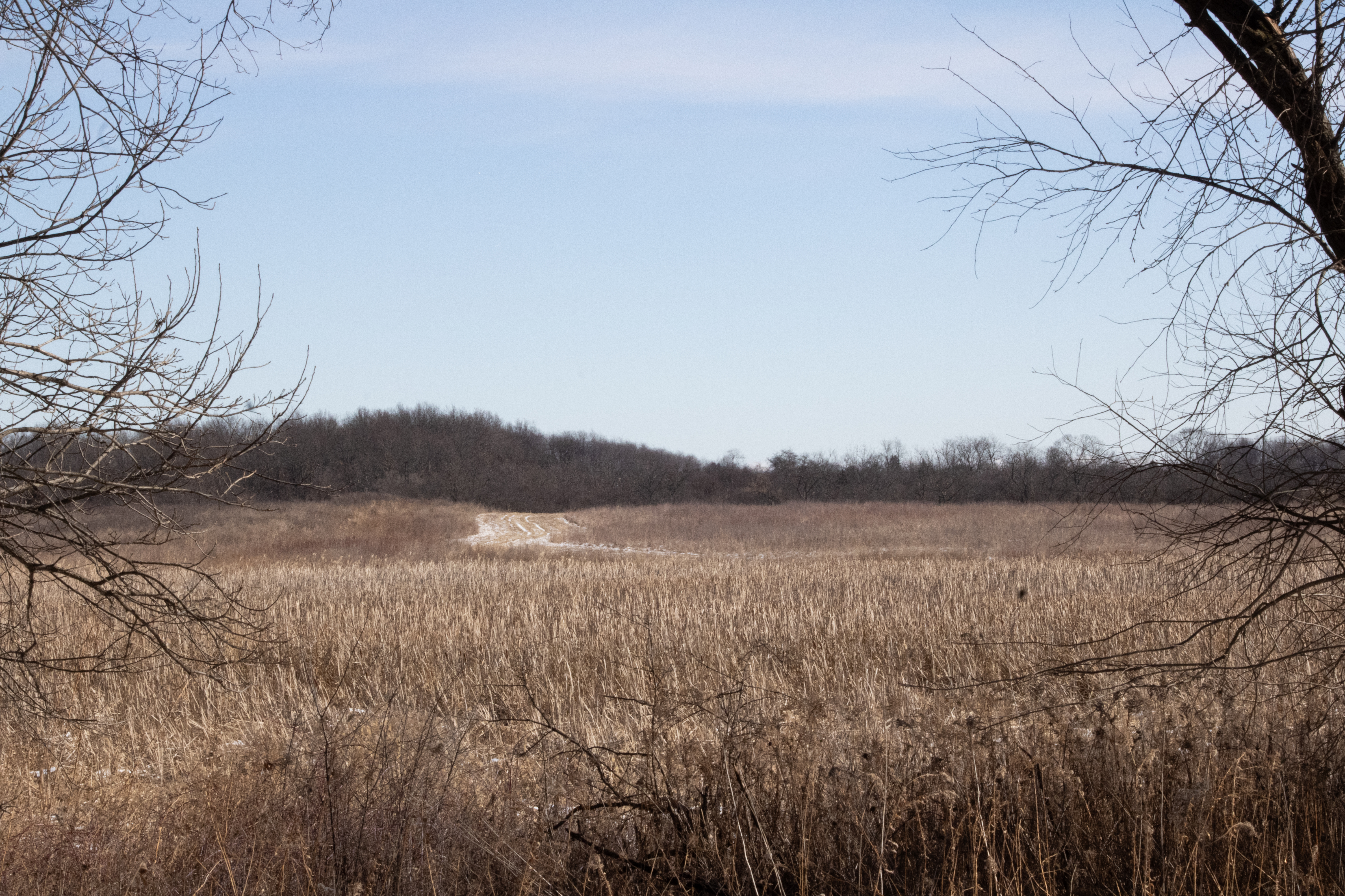 Exploring Crabtree Nature Center